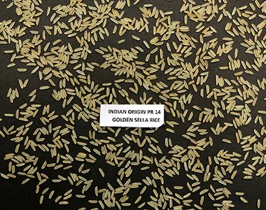PR14-GOLDEN-SELLA-RICE