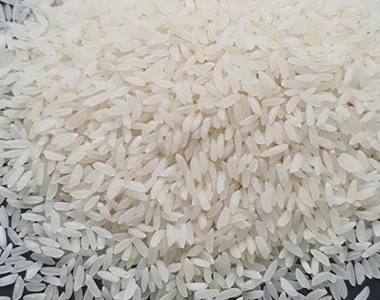 SONA-MASOORI-RAW-RICE