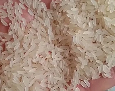 SONA-MASOORI-SELLA-RICE